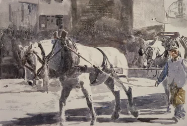 Zwei Percheron-Pferde